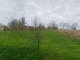 Terrain à bâtir à Rieumes (31370) 2232474-10326annonce120250724hxUtn.jpeg Maisons France Confort