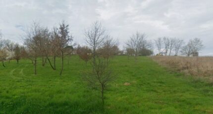 Rieumes Terrain à bâtir - 2232474-10326annonce120250724hxUtn.jpeg Maisons France Confort
