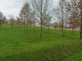Terrain à bâtir à Rieumes (31370) 2232474-10326annonce220250724veMUr.jpeg Maisons France Confort