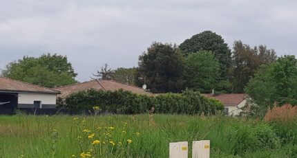 Dieupentale Maison neuve - 2231328-5202annonce420250722PTklG.jpeg Maisons France Confort