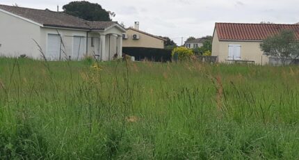 Dieupentale Terrain à bâtir - 2230787-5202annonce12025072253b01.jpeg Maisons France Confort