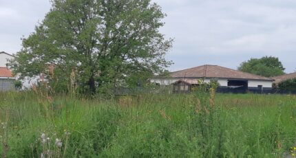 Dieupentale Terrain à bâtir - 2230787-5202annonce320250722ZTiHO.jpeg Maisons France Confort