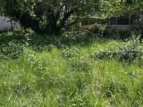Maison à construire à Dampmart (77400) 2233278-11570annonce220250724ATt3A.jpeg Maisons France Confort