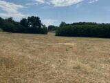 Maison à construire à La Milesse (72650) 2233535-3704annonce120250725t27g8.jpeg Maisons France Confort