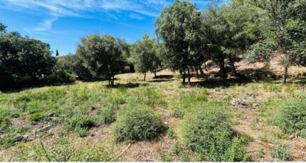 Taradeau Terrain à bâtir - 2233727-4529annonce220250725FZPaT.jpeg Maisons France Confort