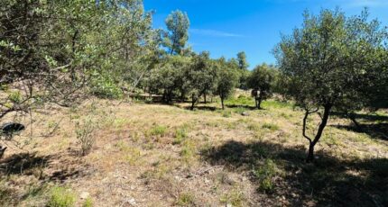 Taradeau Terrain à bâtir - 2233730-4529annonce320250725H5gd0.jpeg Maisons France Confort