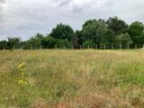 Terrain à bâtir à Les Peintures (33230) 2233812-11367annonce120250725PDUlN.jpeg Maisons France Confort