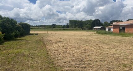 Pissos Terrain à bâtir - 2233867-1803annonce120250725eQFwz.jpeg Maisons France Confort