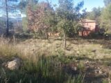 Terrain à bâtir à Rocbaron (83136) 2233849-11137annonce320250725lVNcp.jpeg Maisons France Confort