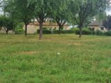 Terrain à bâtir à Lancié (69220) 2233777-10453annonce120250725hzxQz.jpeg Maisons France Confort
