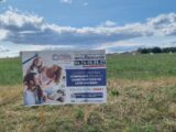 Terrain à bâtir à Montanay (69250) 2233718-10453annonce120250725rncw9.jpeg Maisons France Confort