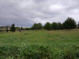 Terrain à bâtir à Saint-Pargoire (34230) 2235137-11040annonce1202507280PauU.jpeg Maisons France Confort