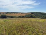 Terrain à bâtir à Montjoire (31380) 2236044-11356annonce220250729bTABx.jpeg Maisons France Confort