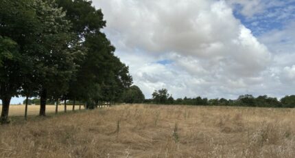 Vérines Terrain à bâtir - 2236253-10442annonce220250729Uh4tJ.jpeg Maisons France Confort
