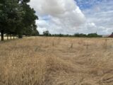 Terrain à bâtir à Vérines (17540) 2236253-10442annonce320250729ueAX2.jpeg Maisons France Confort