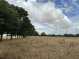 Maison à construire à Vérines (17540) 2236255-10442annonce220250729Uh4tJ.jpeg Maisons France Confort