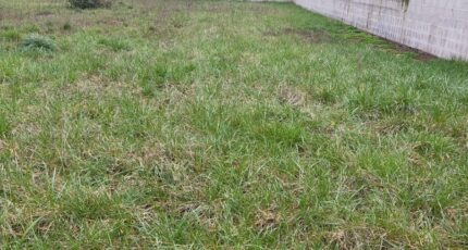 Gensac-la-Pallue Maison neuve - 2236506-11268annonce120250729gVmdA.jpeg Maisons France Confort