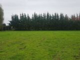 Terrain à bâtir à Marsas (33620) 2232269-1686annonce120250723lWVus.jpeg Maisons France Confort