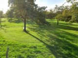 Maison à construire à La Chapelle-Bayvel (27260) 2238352-4101annonce120250731xExvT.jpeg Maisons France Confort