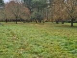Terrain à bâtir à Roaillan (33210) 2202757-11251annonce120250624vTqOD.jpeg Maisons France Confort