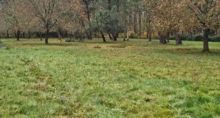 Roaillan Terrain à bâtir - 2202757-11251annonce120250624vTqOD.jpeg Maisons France Confort
