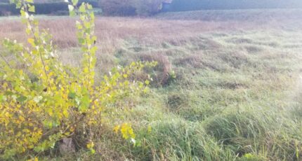 La Sauve Maison neuve - 2238541-11266annonce120250718D4EaS.jpeg Maisons France Confort