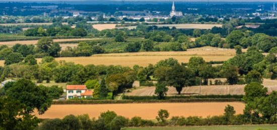 Terrain à bâtir à Saint-Georges-des-Gardes, Pays de la Loire