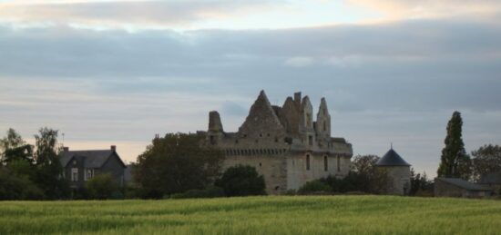 Terrain à bâtir à Tigné, Pays de la Loire
