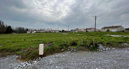 Champtocé-sur-Loire Terrain à bâtir - 2237531-11353annonce120250731q5cB1.jpeg Maisons France Confort