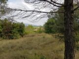 Maison à construire à Carcassonne (11000) 2238655-11456annonce12025062075uXl.jpeg Maisons France Confort