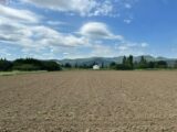 Terrain à bâtir à Ancône (26200) 2238916-812annonce120250801JmavC.jpeg Maisons France Confort