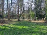 Maison neuve à Saint-Palais-sur-Mer (17420) 2206356-11291annonce120250626aOMFK.jpeg Maisons France Confort