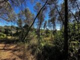 Maison à construire à Bagnols-en-Forêt (83600) 2239275-3701annonce220250801xwk5E.jpeg Maisons France Confort