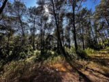 Maison à construire à Bagnols-en-Forêt (83600) 2239286-3701annonce120250801AdWyk.jpeg Maisons France Confort