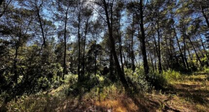 Bagnols-en-Forêt Maison neuve - 2239286-3701annonce120250801AdWyk.jpeg Maisons France Confort