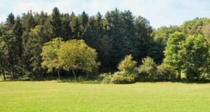 Saint-Arnoult Maison neuve - 2238406-11216annonce120250730Chw7Z.jpeg Maisons France Confort