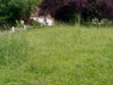 Maison à construire à Saint-Pierre-sur-Dives (14170) 2238466-11216annonce120250731Ndv2P.jpeg Maisons France Confort