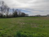 Terrain à bâtir à Lieurey (27560) 2161311-11214annonce420250518ok1Jw.jpeg Maisons France Confort