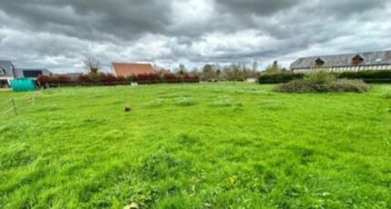 Selles Terrain à bâtir - 2178874-11214annonce120250603ncAnl.jpeg Maisons France Confort