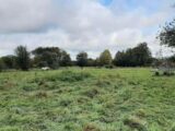 Terrain à bâtir à Beuzeville (27210) 2239196-11214annonce120250801QfJpo.jpeg Maisons France Confort