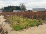 Maison à construire à Barentin (76360) 2238504-11217annonce120250801Ntd39.jpeg Maisons France Confort