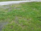 Maison à construire à Salignac-sur-Charente (17800) 2209454-11245annonce1202506303Dnw7.jpeg Maisons France Confort