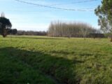 Terrain à bâtir à Chenaud (24410) 2240465-11367annonce120250804iTGmJ.jpeg Maisons France Confort