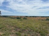 Terrain à bâtir à Paulhac (31380) 2238979-11356annonce120250801DtxcC.jpeg Maisons France Confort