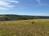 Terrain à bâtir à Paulhac (31380) 2238979-11356annonce220250801c0xhA.jpeg Maisons France Confort