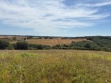 Terrain à bâtir à Paulhac (31380) 2238979-11356annonce420250801hXLwP.jpeg Maisons France Confort