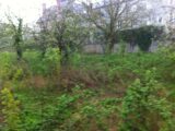 Terrain à bâtir à Saint-Selve (33650) 2240719-9468annonce120250805rmxeO.jpeg Maisons France Confort