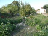 Terrain à bâtir à Belpech (11420) 2240730-11456annonce2202508055v5t0.jpeg Maisons France Confort