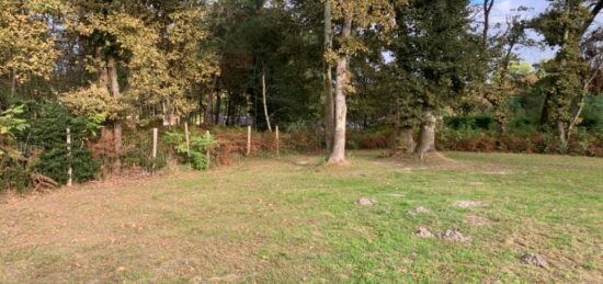 Terrain à bâtir à Roaillan, Nouvelle-Aquitaine