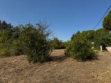 Terrain à bâtir à Pouzols (34230) 2241676-11455annonce120250806hDu4u.jpeg Maisons France Confort